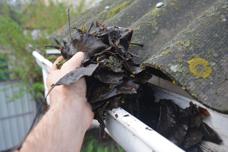 Gutter Leaves Removal in Long Island, NY