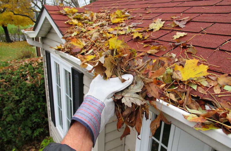 Roof Gutter Cleaning in Baltimore, MD